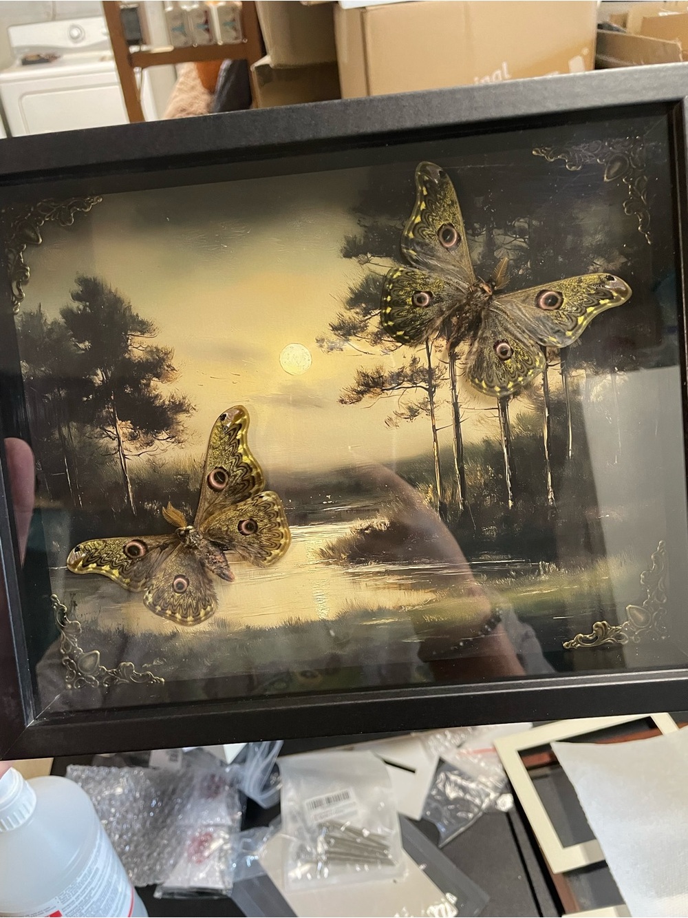 Framed Moth Landscape Art – Elegant Home Art